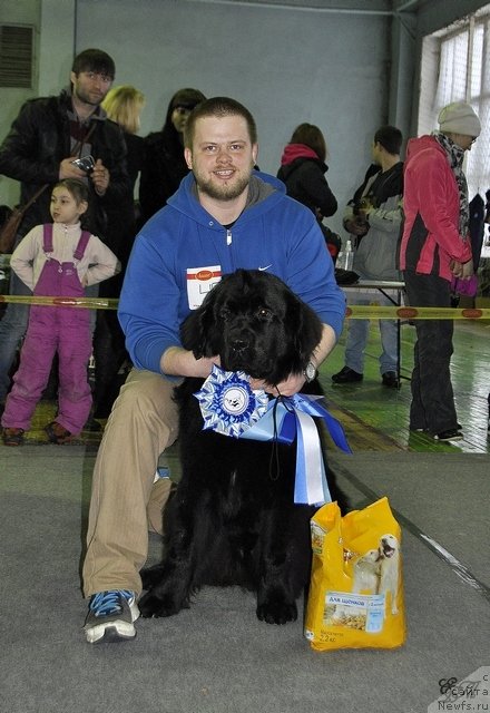 Фотография № 121019