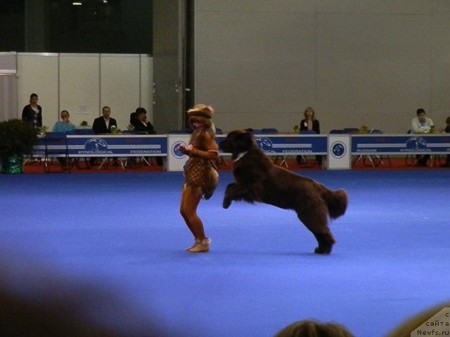 Фотография № 121020