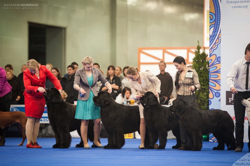 Фотография № 121023