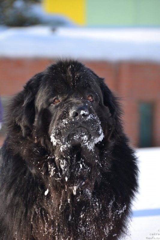 Фотография № 121027