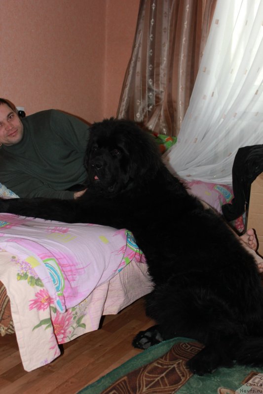 Фотография № 121049