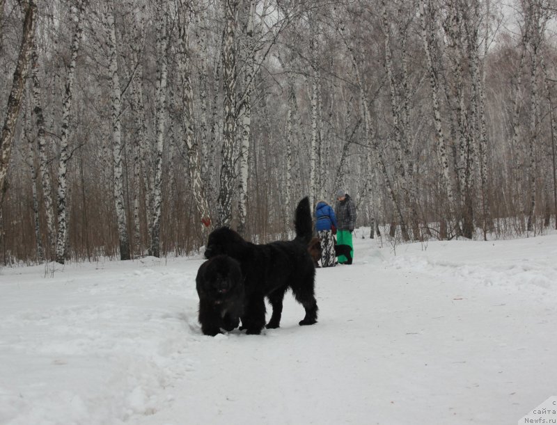 Фотография № 121055