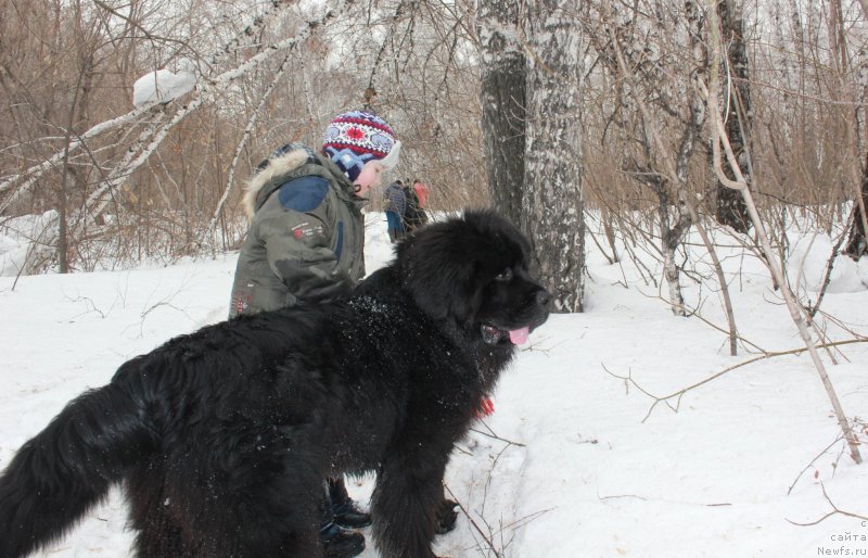 Фотография № 121056