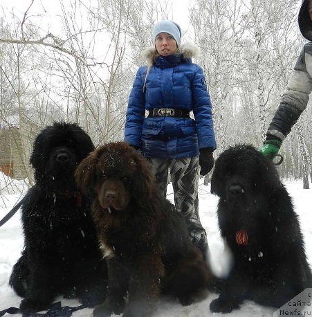 Фотография № 121058