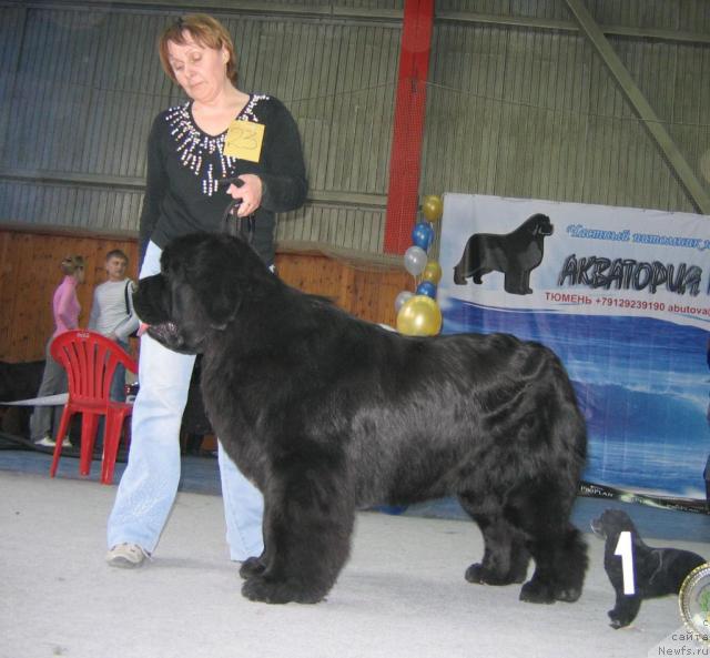 Фотография № 12110