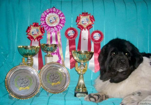 Фотография № 12111