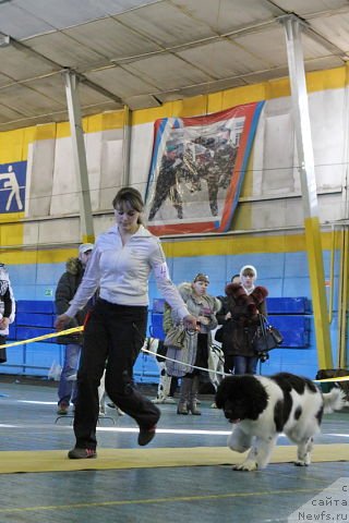 Фотография № 121116