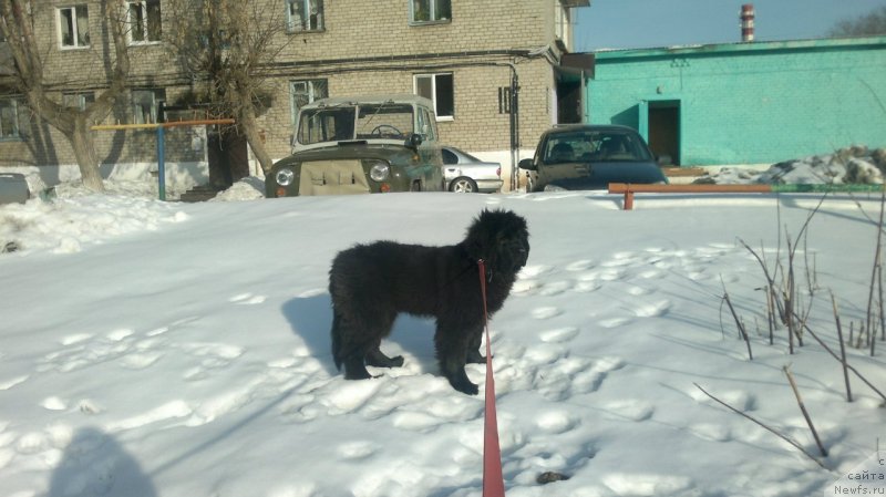 Фотография № 121118