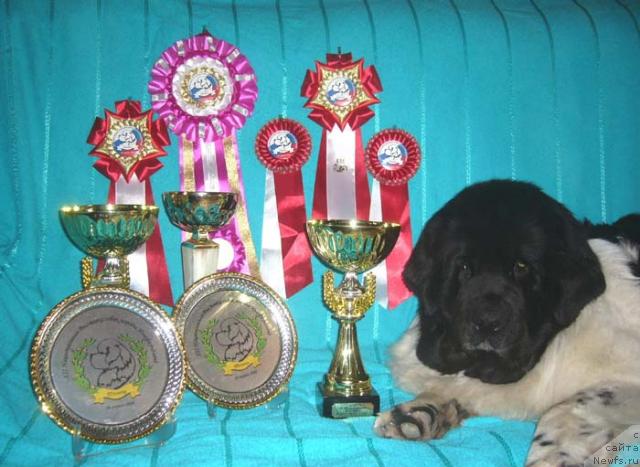 Фотография № 12112