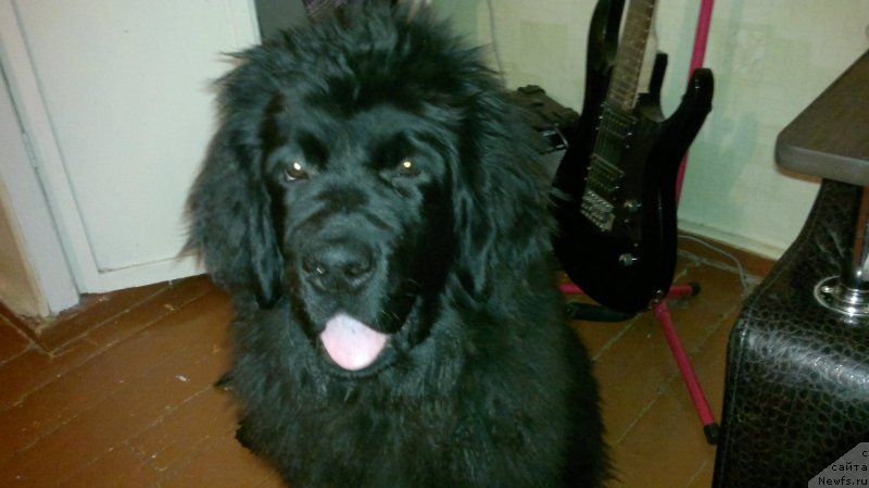 Фотография № 121120