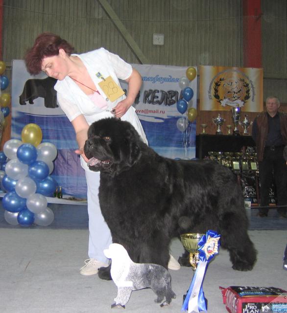 медвежий яр 1