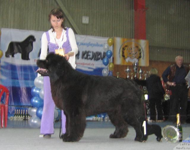 Фотография № 12115