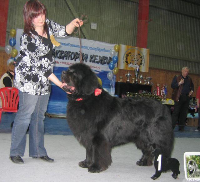 Фотография № 12116