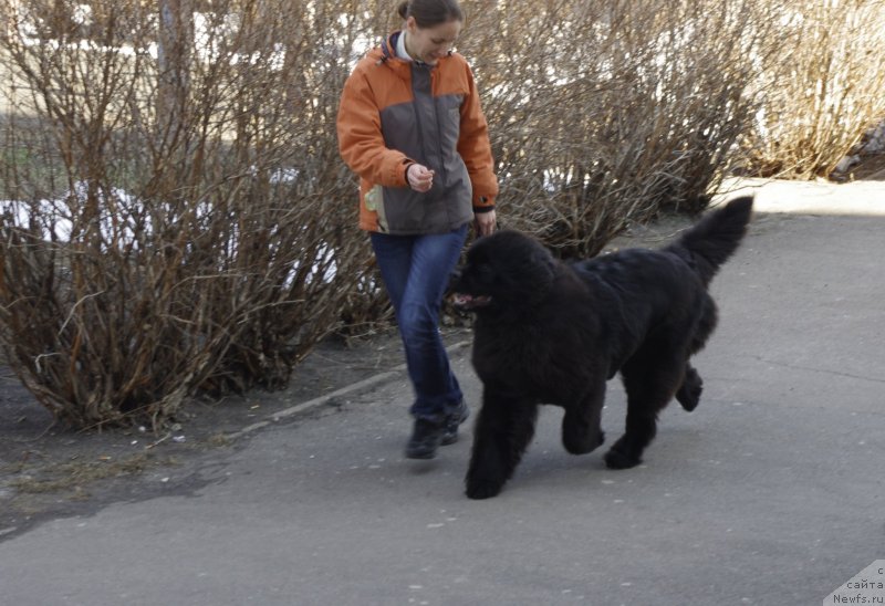 Фотография № 121161