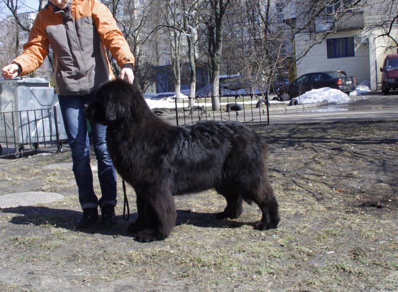 Фотография № 121165