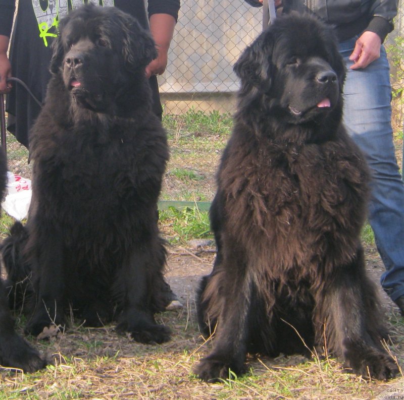 Фотография № 121176