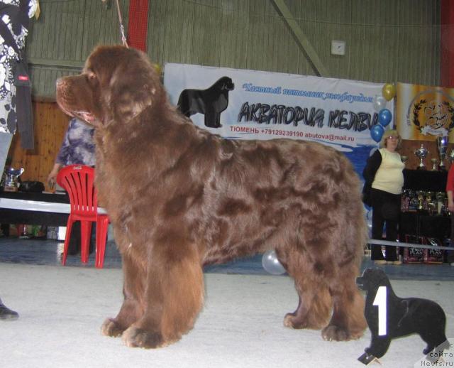 Фотография № 12121