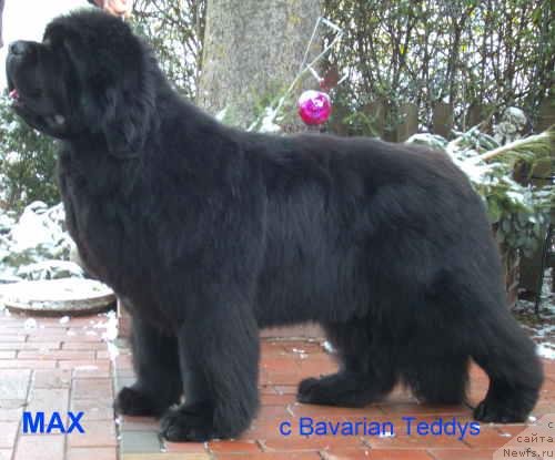 Фотография № 121223