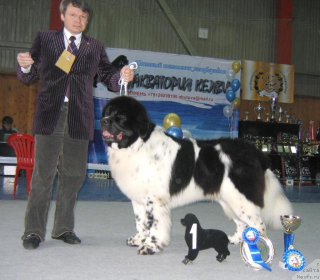 Фотография № 12123