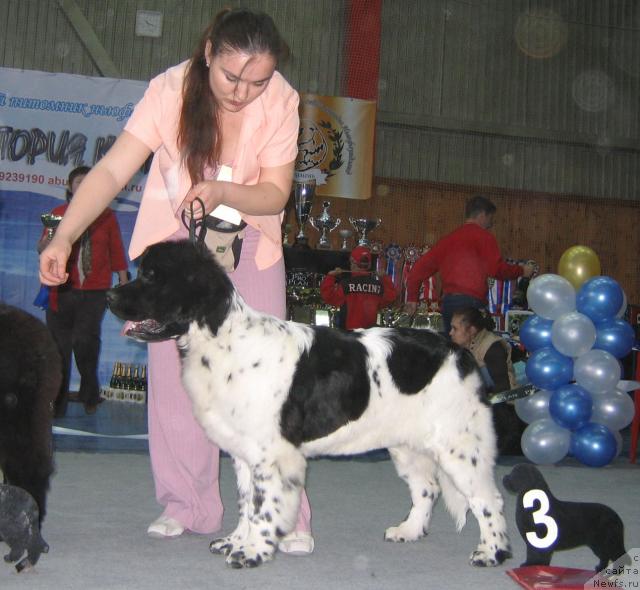 Фотография № 12126