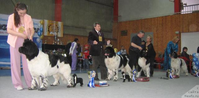 Фотография № 12127