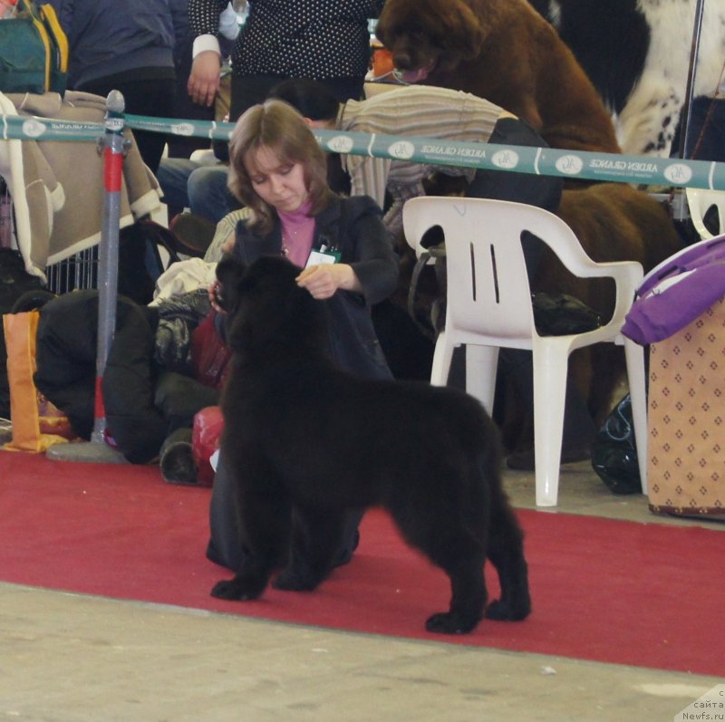 Фотография № 121296