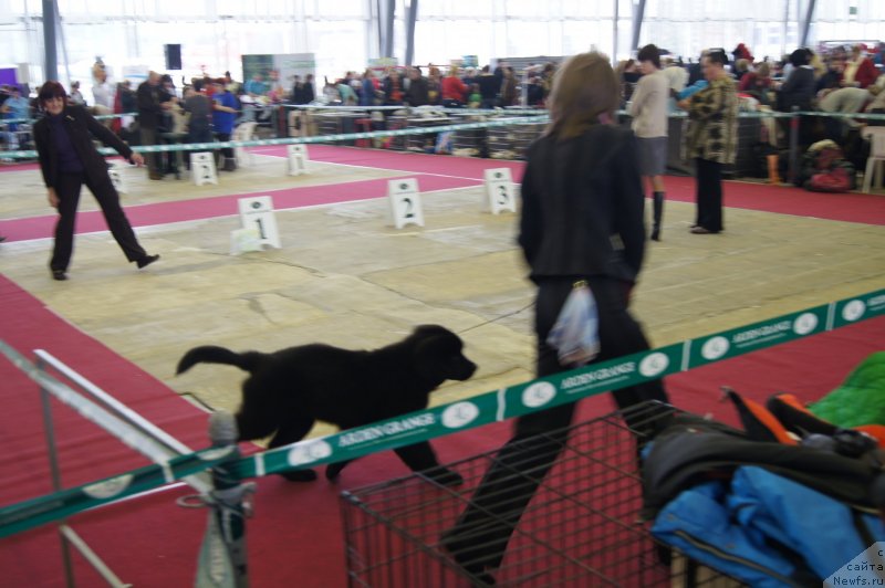 Фотография № 121300