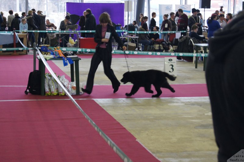 Фотография № 121304