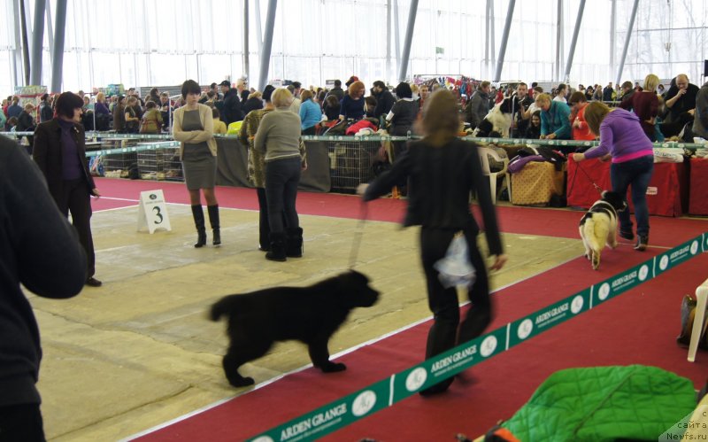 Фотография № 121305