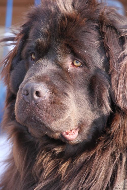 Фотография № 121307