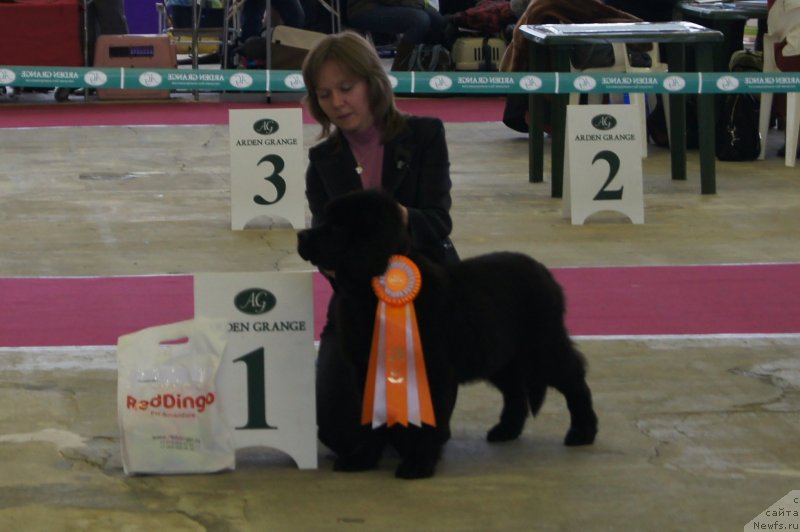 Фотография № 121309