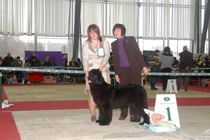 Фотография № 121318