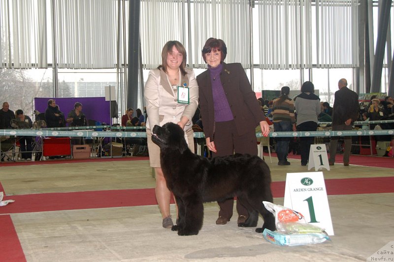 Фотография № 121319