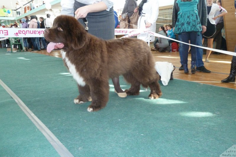 Фотография № 121322