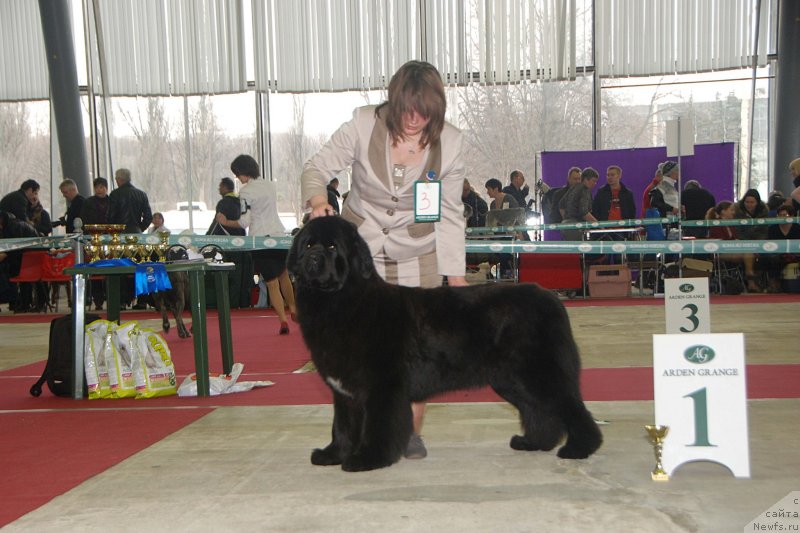 Фотография № 121329