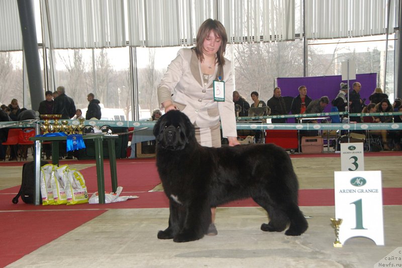 Фотография № 121331