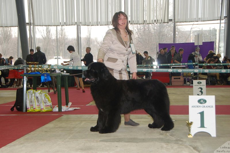 Фотография № 121332