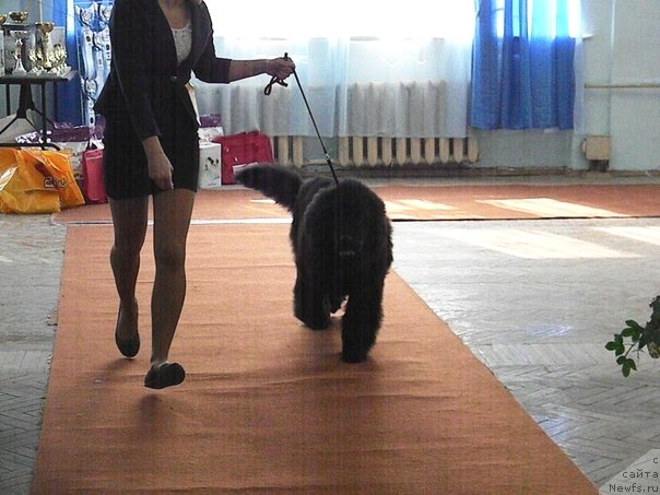 Фотография № 121339