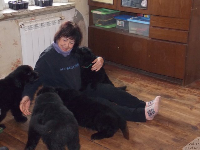 Фотография № 121377