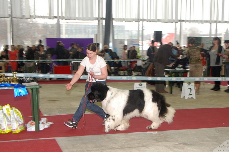 Фотография № 121398