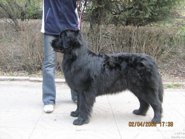 Фотография № 12140