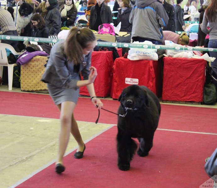 Фотография № 121417