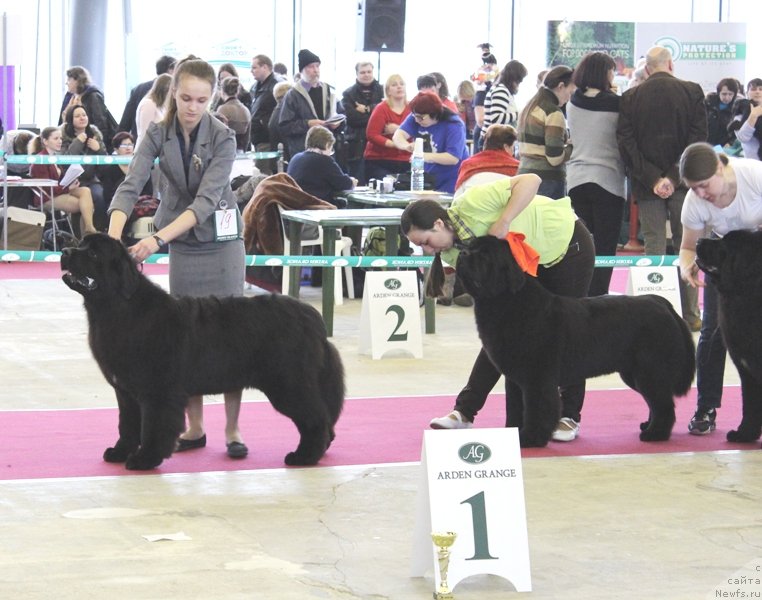 Фотография № 121418