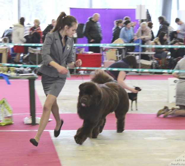 Фотография № 121421