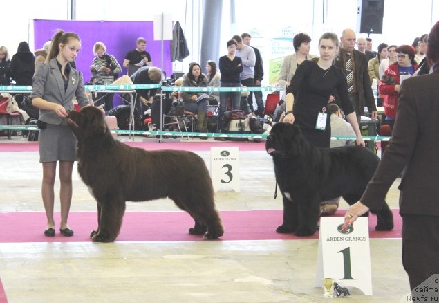 Фотография № 121422