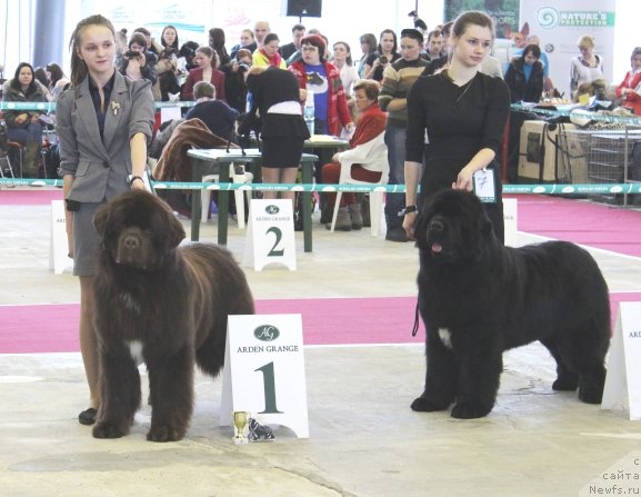 Фотография № 121424