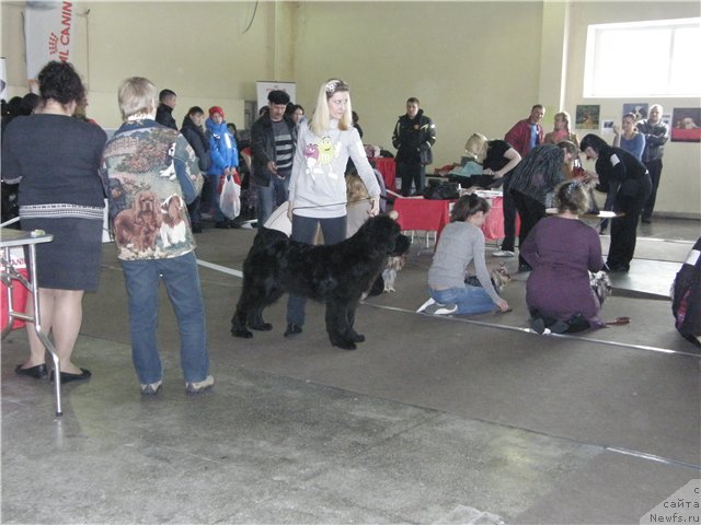 Фотография № 121431