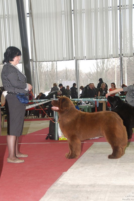 Фотография № 121447