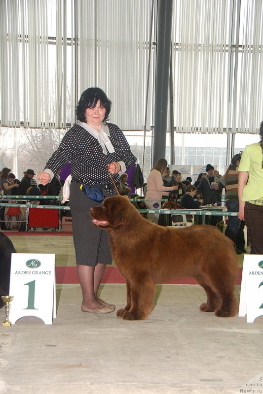 Фотография № 121449