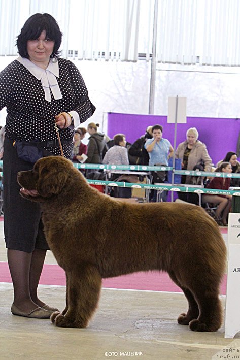 Фотография № 121450